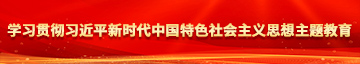 被又粗又长又大大鸡巴操的好爽摸奶捏乳头的视频学习贯彻习近平新时代中国特色社会主义思想主题教育