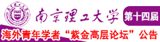 大鸡巴操逼的视频南京理工大学第十四届海外青年学者紫金论坛诚邀海内外英才！